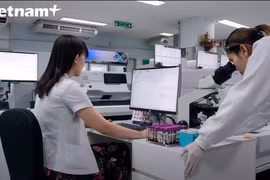 Global Innovation Index: Vietnam ranks first among lower-middle income group