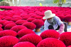 A visit to Quang Phu Cau traditional incense-making village