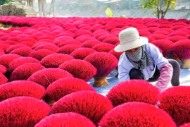 A visit to Quang Phu Cau traditional incense-making village