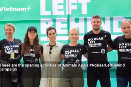 International stars accompany the bear protection campaign in Vietnam