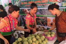 Trade development programme in remote, mountainous areas approved 