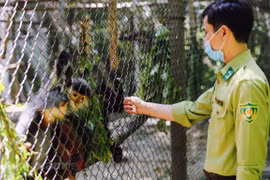Special house of endangered and rare primates