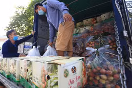 Measures sought to boost lychee sales in domestic, foreign markets