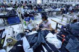 Vietnam's textile & garment exports continue to grow: US site