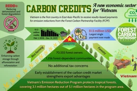 "Unlocking" carbon credit market for Vietnam