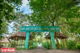 Long An reserve restores 17ha of wetland forest