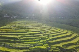 Pu Luong – a paradise amidst jungle for travellers on budget