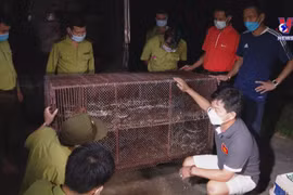Wildlife release tour promotes conservation of nature