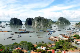 Vietnamese firms to tackle plastic pollution in Ha Long Bay