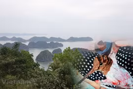 Vietnam acts to stamp out poaching of migratory wild birds