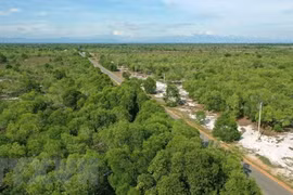 Forestry to become modern economic-technological sector