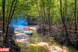 Vietnam’s southernmost province a magnet for tourists