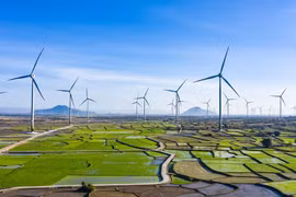 Coal, hydro power to give way to renewables 