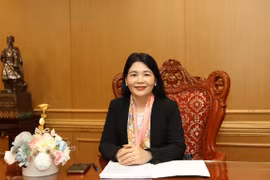 Environmental auditing creates premise for sustainable development goals