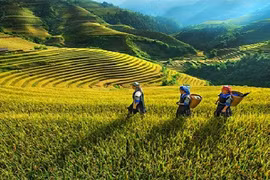 Science, technology application solution to develop ethnic-inhabited areas