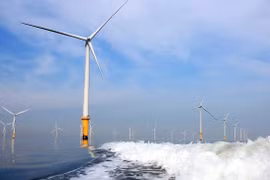 Vietnam has substantial potential for offshore wind power: report 