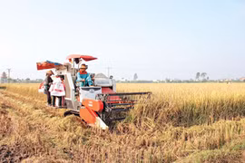 Farmers in Thai Binh city join hands to improve livelihoods