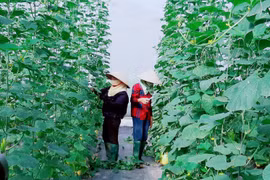 Application of scientific, technological advances boosts development in rural, mountainous regions