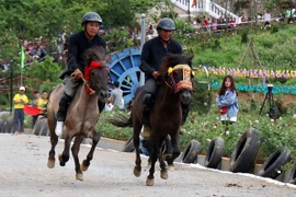 Reviving horse racing tradition in Lao Cai’s Bac Ha