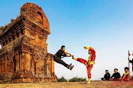 Dossiers of “cheo”, Binh Dinh martial art to be made to seek UNESCO title