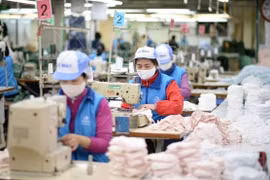 Efforts made to protect interests of Vietnamese products in EU market