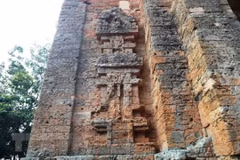 Over-1,000-year-old tower embodies Oc Eo culture 