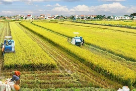 New mindset needed in agricultural production