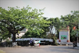 Dich Diep Trang millennium-old village in northern Vietnam