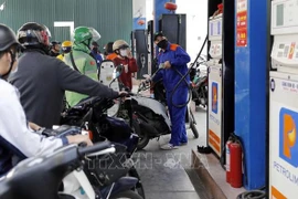 Vietnam faces huge inflationary pressure in 2023: expert