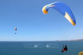 Binh Thuan looks to the sky as paragliding hub