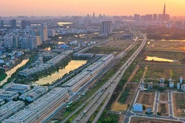 Vietnamese enterprises must strive hard to tap Middle East market's potential: experts
