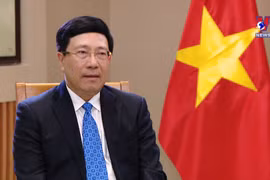 Diplomatic sector helps raise Vietnam’s fortune, position, prestige
