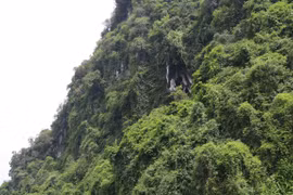 Unique Hang Uc pagoda in Yen Bai under development