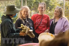 Bear sanctuary in Ninh Binh attracts visitors
