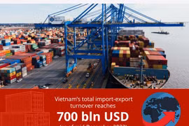 Vietnam's global import-export ranking can be improved