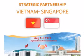 Strategic partnership between Vietnam and Singapore thrives