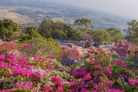 Southeastern tourism market remains stable