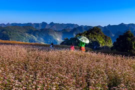 Ha Giang expects to welcome 1.4 million visitors in 2020