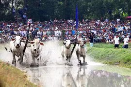 Unique festivals in Southwestern region