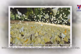 Cuc Phuong named Asia’s leading national park
