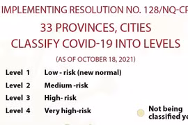 Implementing Resolution on safe, flexible adaptation with COVID-19