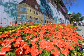 Da Lat - hub of flower exports