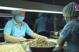 Vietnam records nearly 4 bln USD of trade surplus