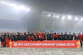 Athletes name Vietnam on world’s sports map