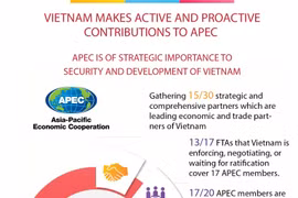 Vietnam makes active and proactive contributions to APEC