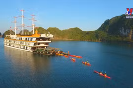 Travel agents launch Tet tours to attract domestic visitors