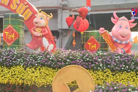 Ho Chi Minh City decorated to prepare for Tet