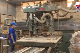 Vietnam strives to be global processing centre of export timber 