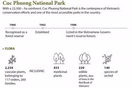 Cuc Phuong National Park