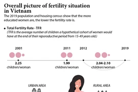 Overall picture of fertility situation in Vietnam